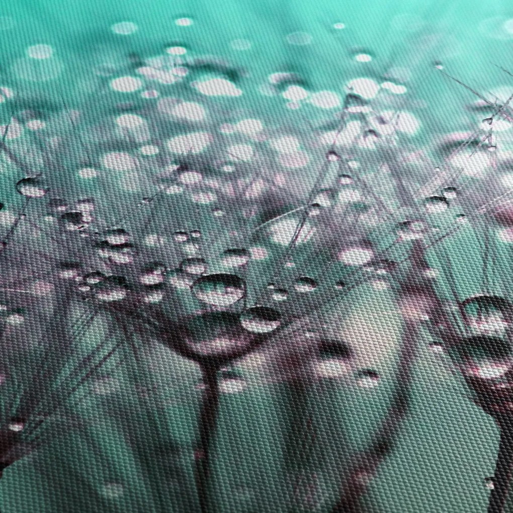 Tablou - planta cu rouă (120x50 cm)