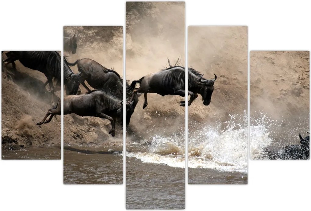 Tablou - Turmă de gnu (150x105 cm)