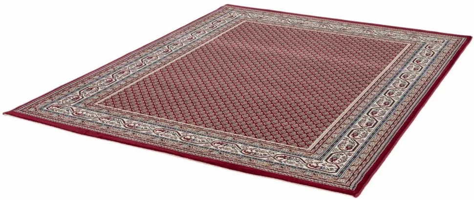 Covor Clasic Living, Model Kara 9595