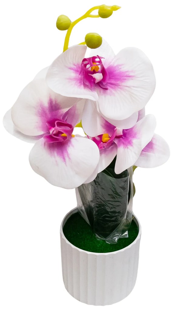 Decorațiune florală cu orhidee albă cu roz în ghiveci de 30x10 cm