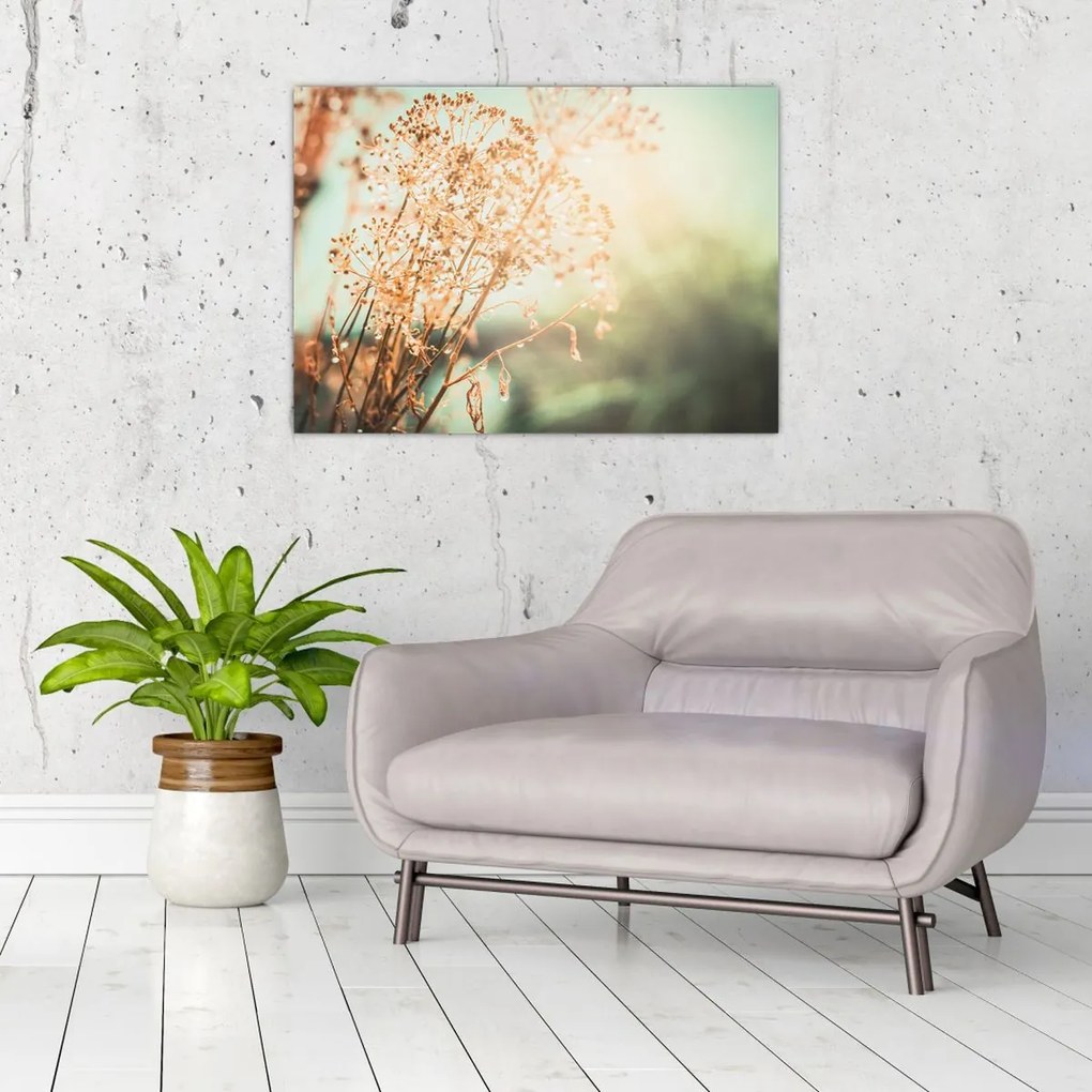 Tablou pe sticlă - Plante după ploaie (70x50 cm)