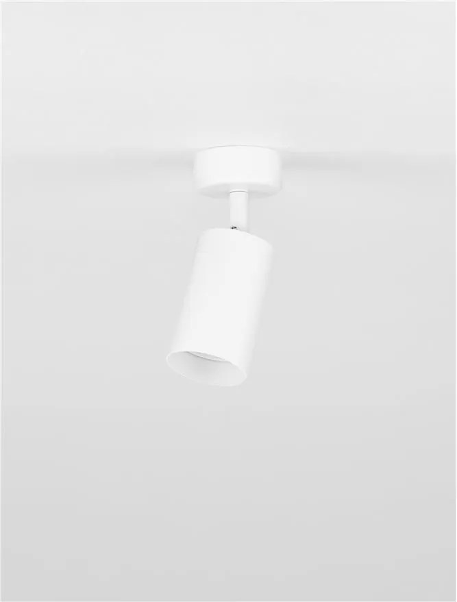 Spot aplicat directionabil minimalist REIG, NVL-9011532