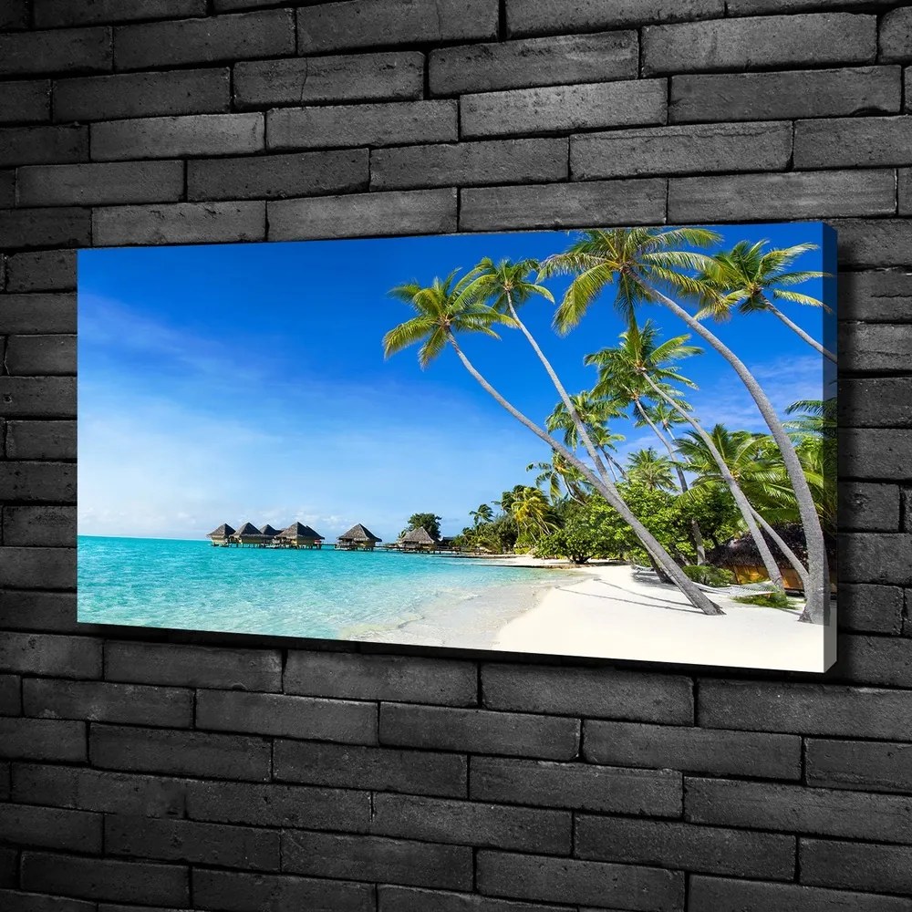 Tablou pe pânză canvas Maldive