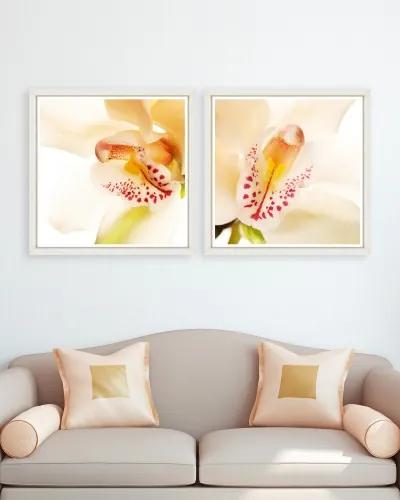 Tablou 2 piese Framed Art Orchid Close-up