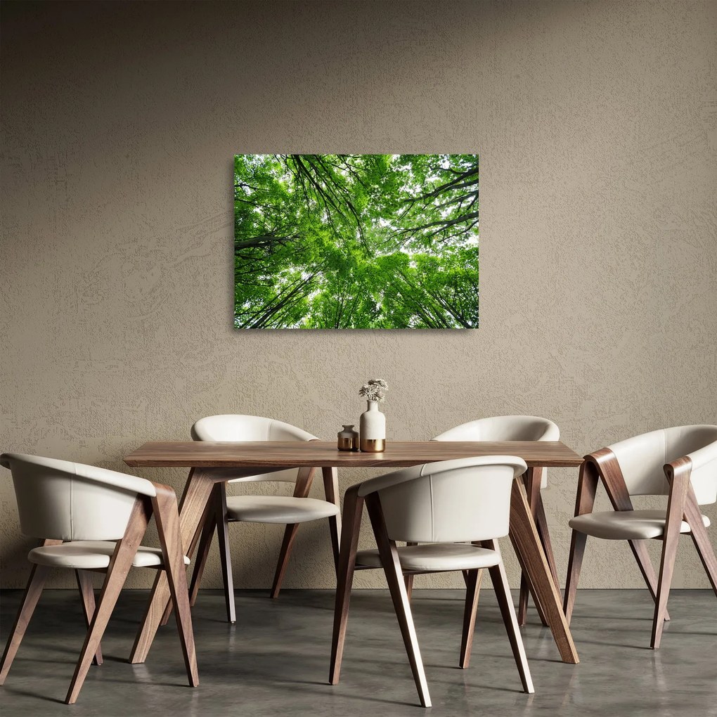 Tablou pe sticlă - privire în coroanele pomilor (70x50 cm)