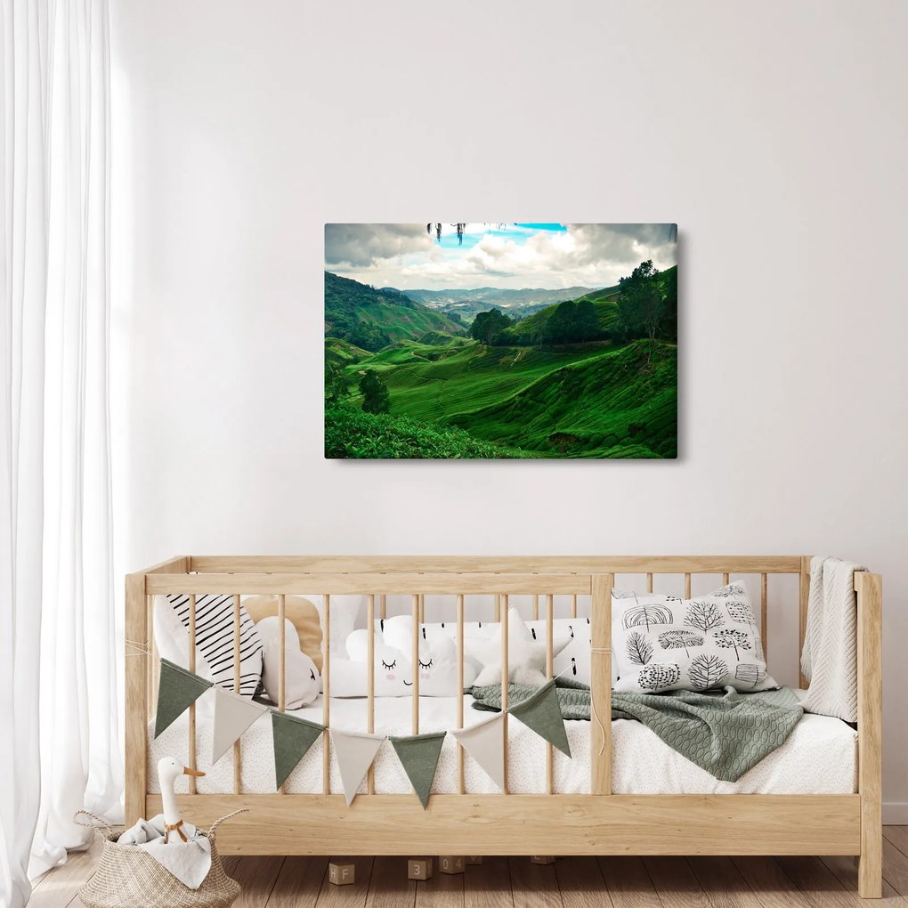 Tablou Plantații de ceai - Malaezia (90x60 cm)