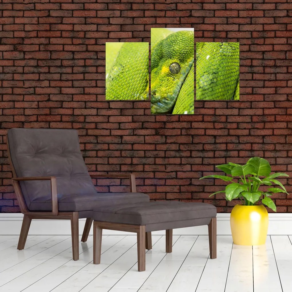 Tablou cu șarpe (90x60 cm)