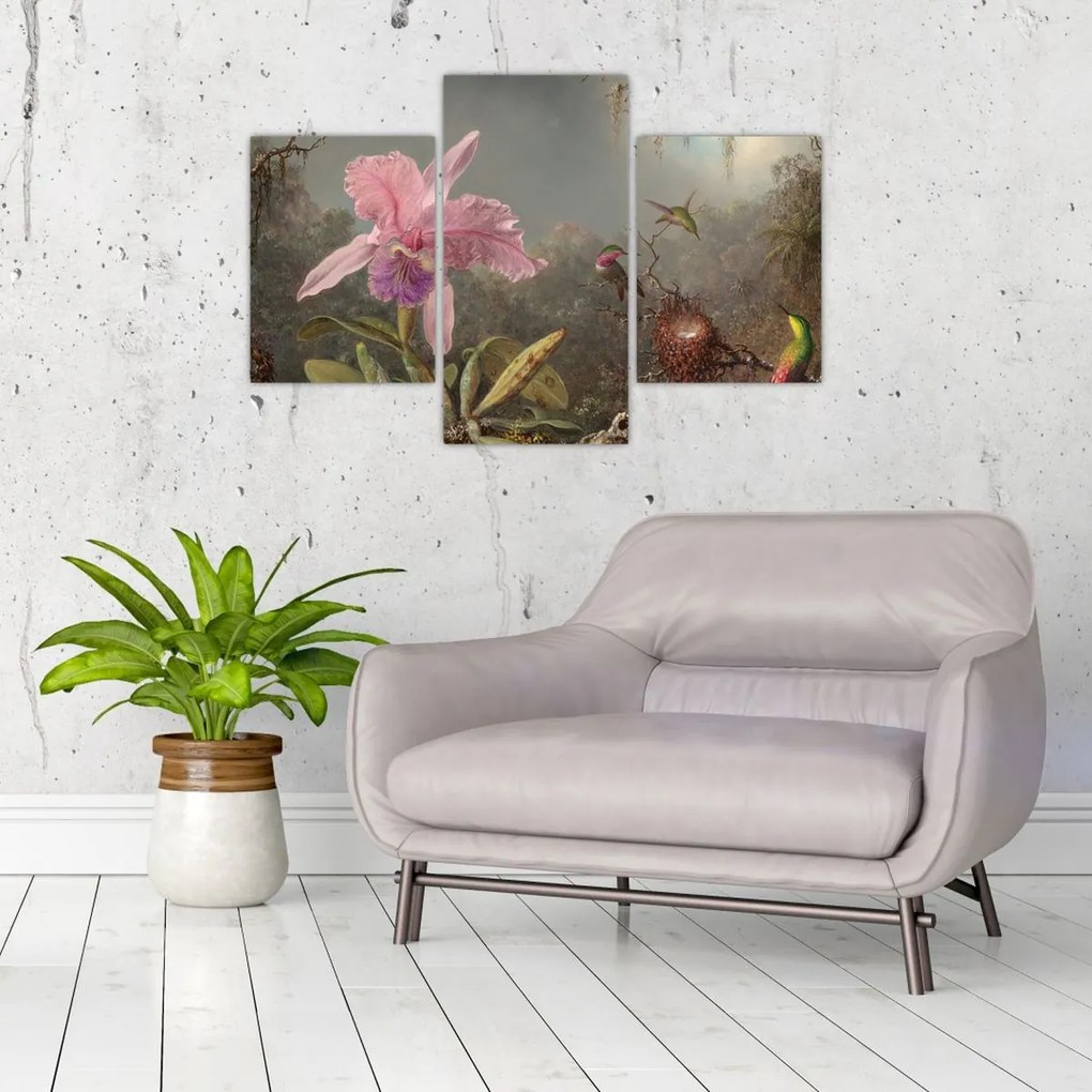 Tablou - Martin Johnson Heade, Cattleya Orchid and Three Hummingbirds, reproducere (90x60 cm)
