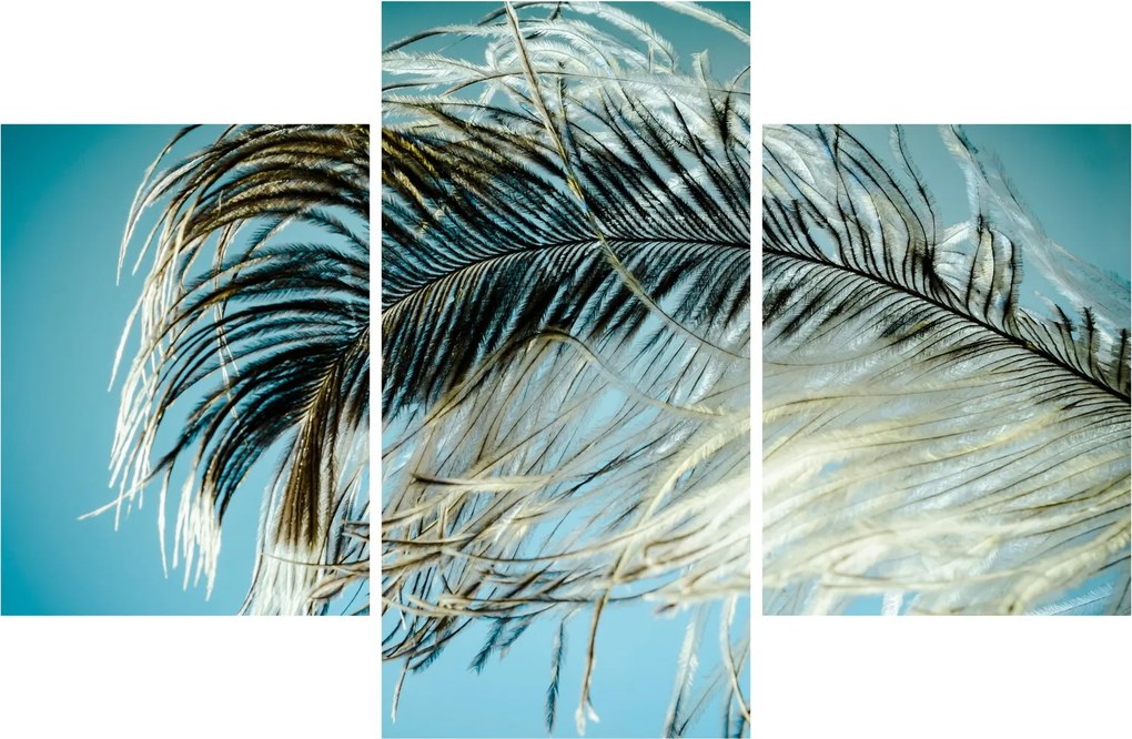 Tablou cu pană (90x60 cm)