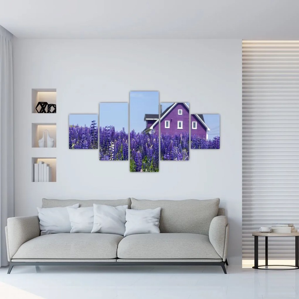 Tablou cu câmp de lavanda (125x70 cm), în 40 de alte dimensiuni noi