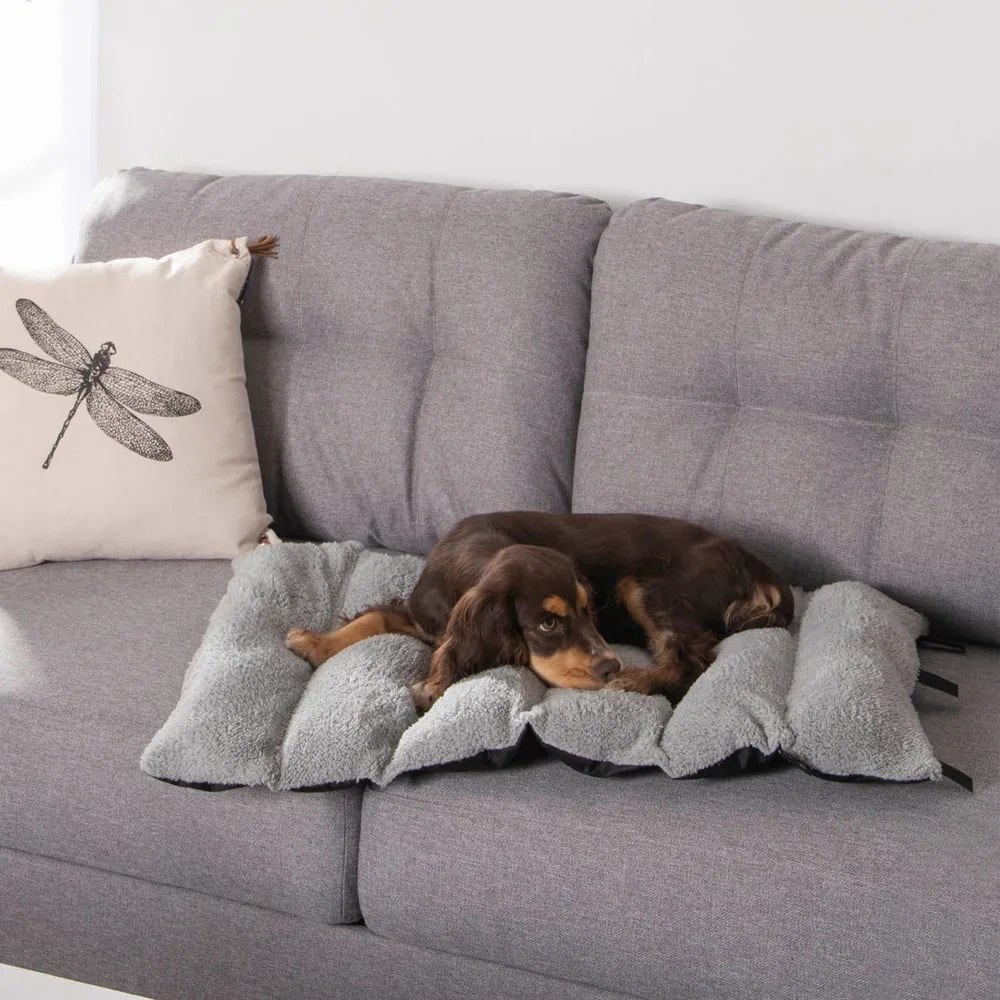 Pătură neagră pentru câini din sherpa 50x80 cm – Love Story