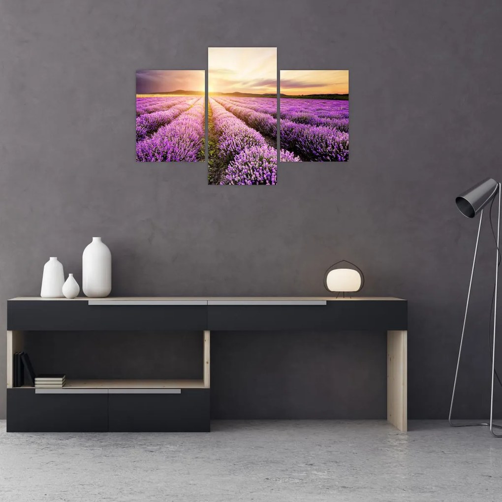 Tablou - Răsărit de soare în câmp de lavandă (90x60 cm)