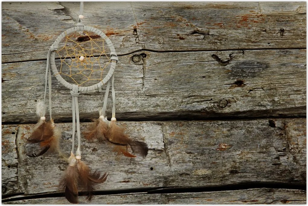 Tablou - Prinzător de vise (90x60 cm)