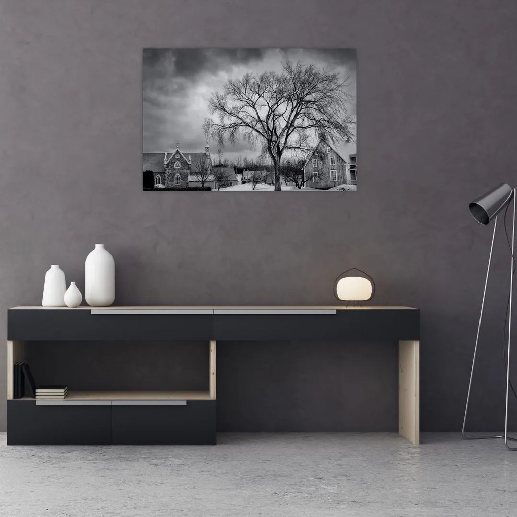 Tablou cu sat alb negru (90x60 cm)