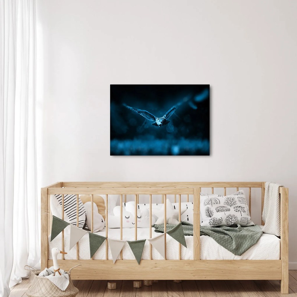 Tablou cu bufnița zburând (70x50 cm)