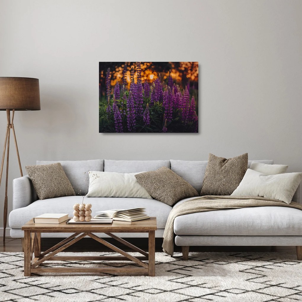Tablou pe sticlă - Flori de lupin (70x50 cm)