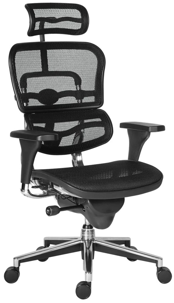 Scaun de birou - ERGOHUMAN2 PDH ULTRA BLACK FRAME W09-01+ALU BASE - precomanda 7-12 zile (Termen de livrare: 7 zile)