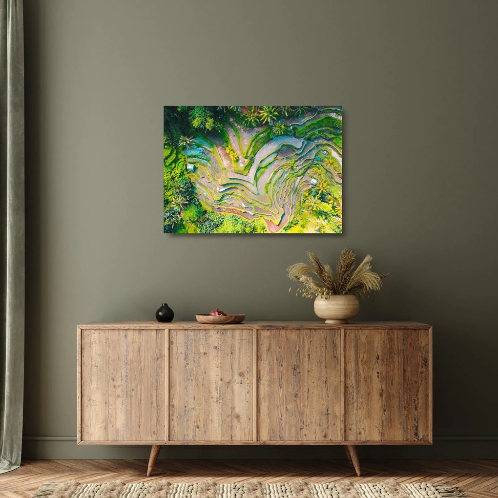 Tablou pe sticlă cu lanuri de orez din privire de sus (70x50 cm)