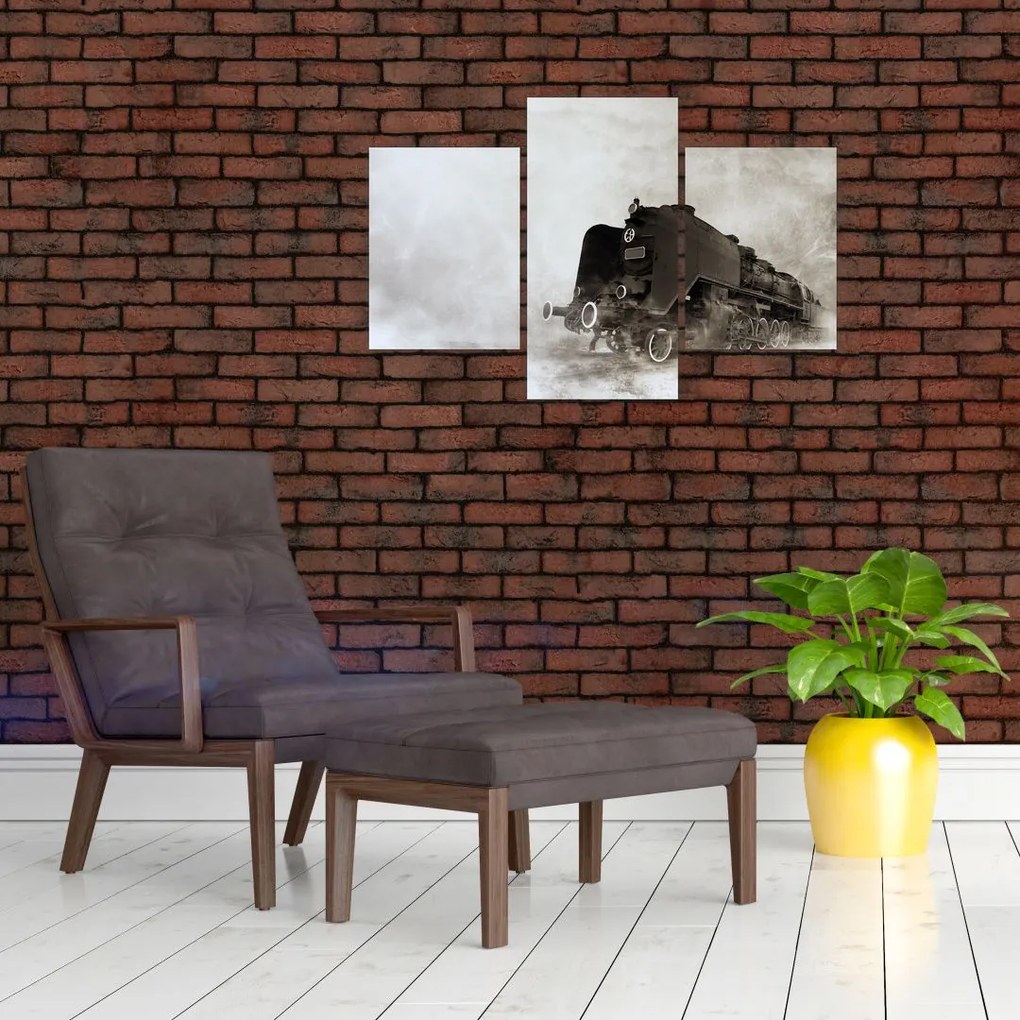 Tablou - Tren în ceață (90x60 cm)