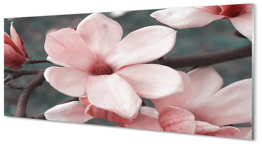 Tablouri acrilice flori roz
