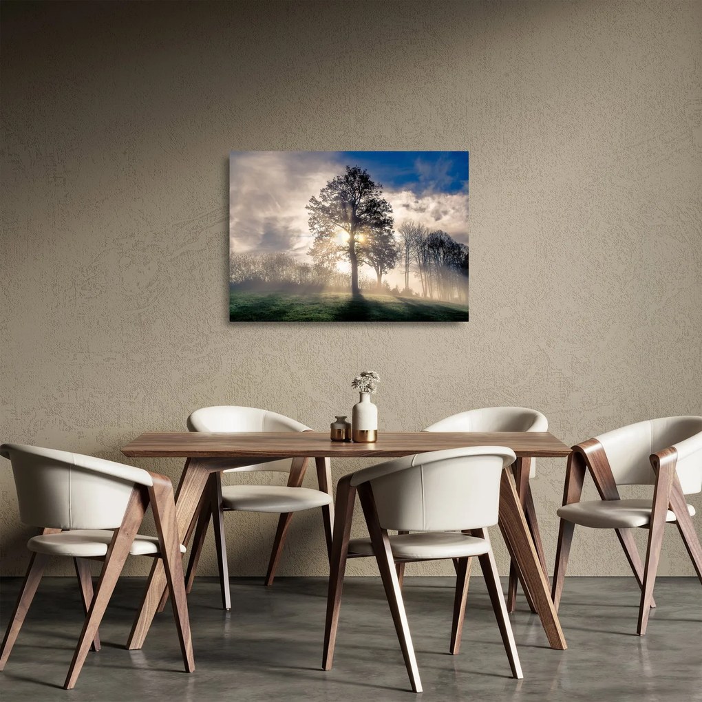 Tablou pe sticlă cu copac în ceață (70x50 cm)