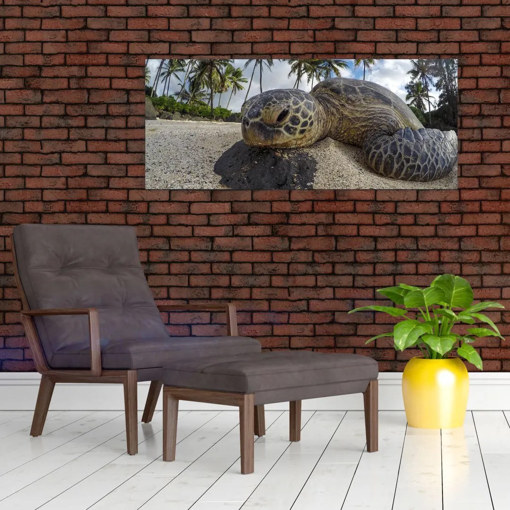 Tablou cu broască țestoasă (120x50 cm)