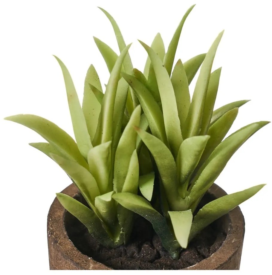 Plante artificiale 4 buc. Cactus – Casa Selección