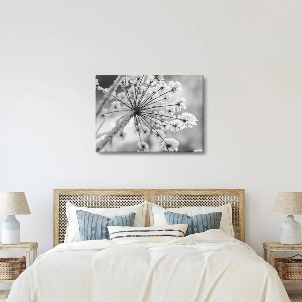 Tablou - Floare în timpul iernii (70x50 cm)