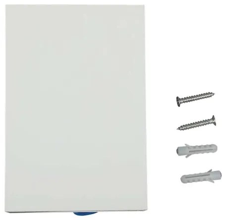 Aplică LED de exterior LED/4W/230V 6400K IP65 albă