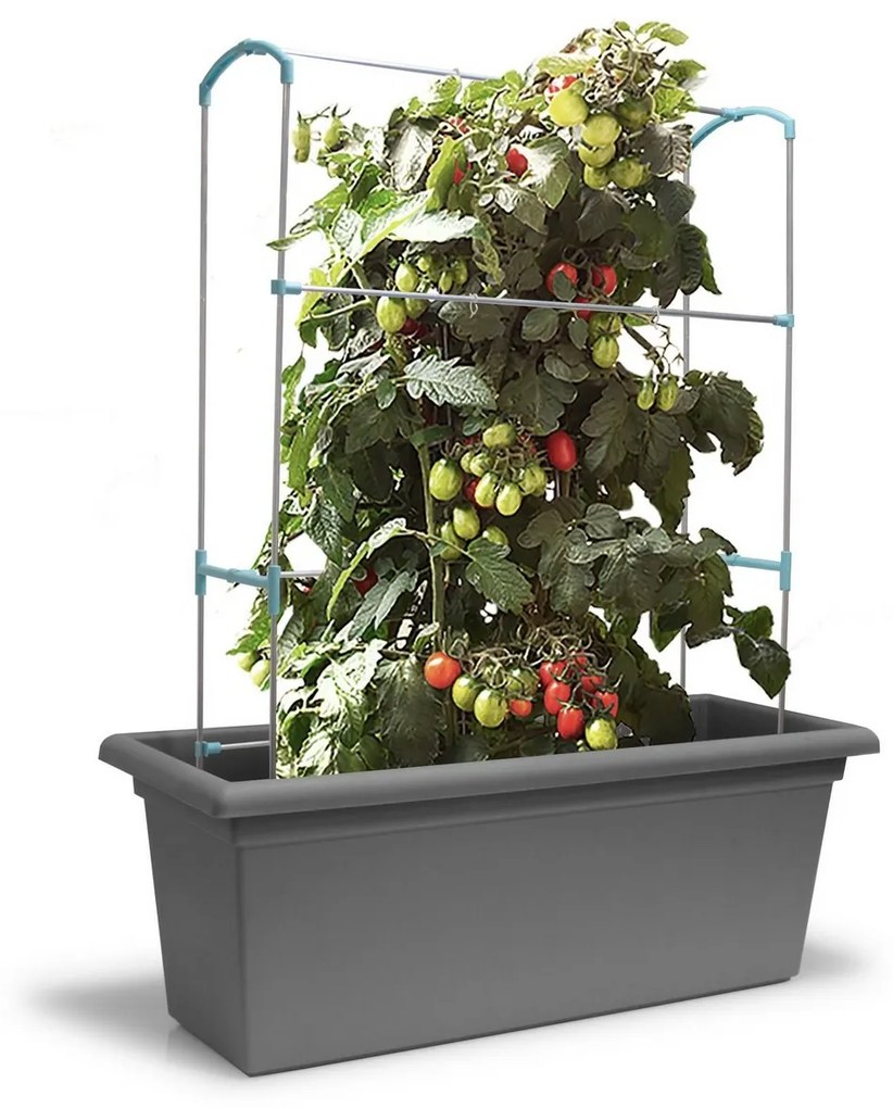 Gardenico Suport vertical perete verde Magnus, 100cm, 100 cm