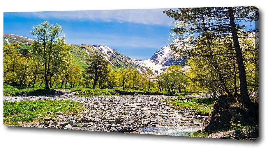 Pictură pe pânză River în munți