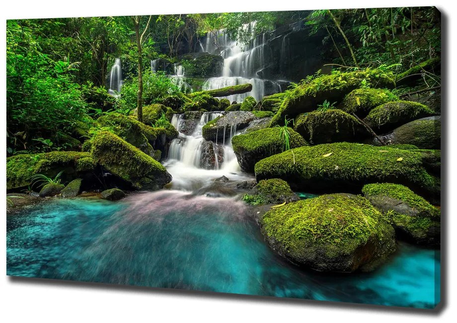 Tablou canvas Cascada din junglă