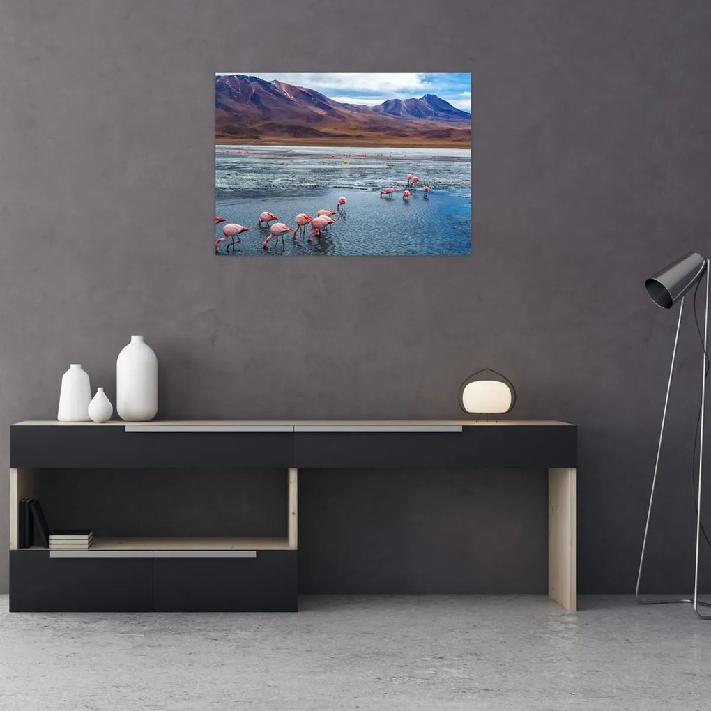 Tablou - Flamingo (70x50 cm)