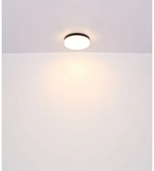 Corp de iluminat pentru baie VRANOS 2xE27/60W/230V d. 24 cm IP44 Globo 32112B