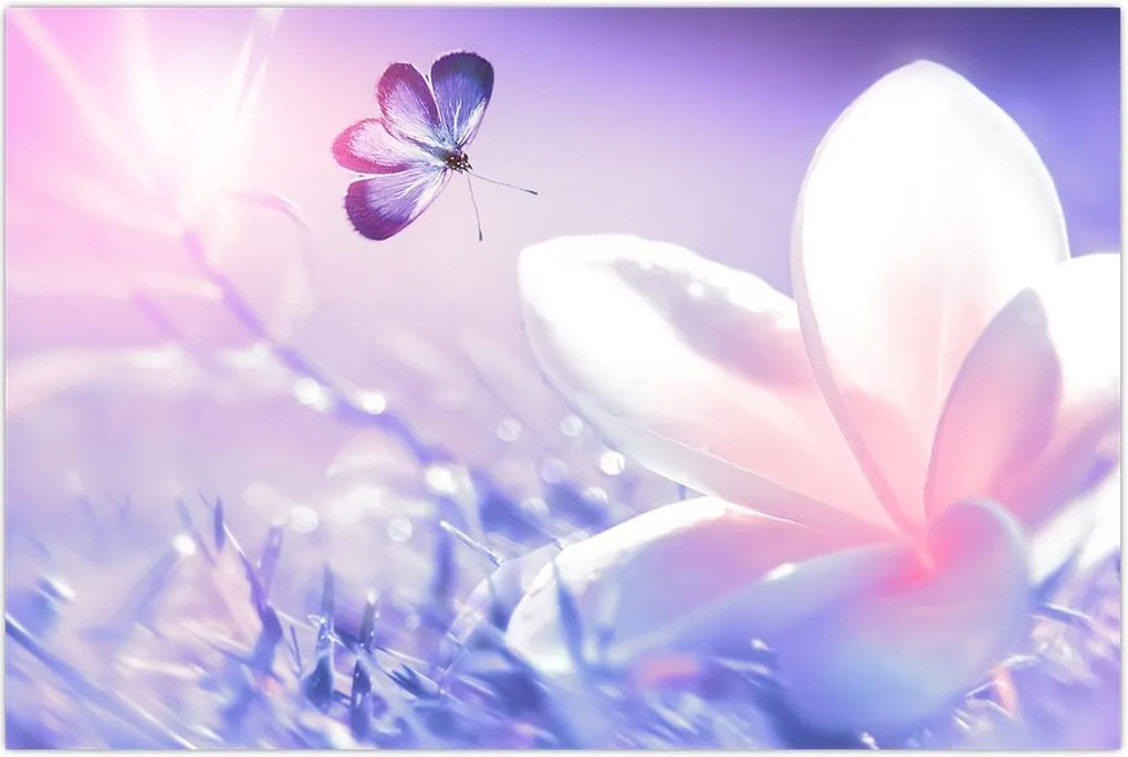 Tablou - Fluture lângă floare (90x60 cm)