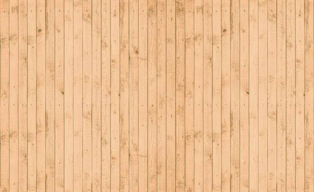 Fototapet - Textura - lemn (152,5x104 cm), în 8 de alte dimensiuni noi