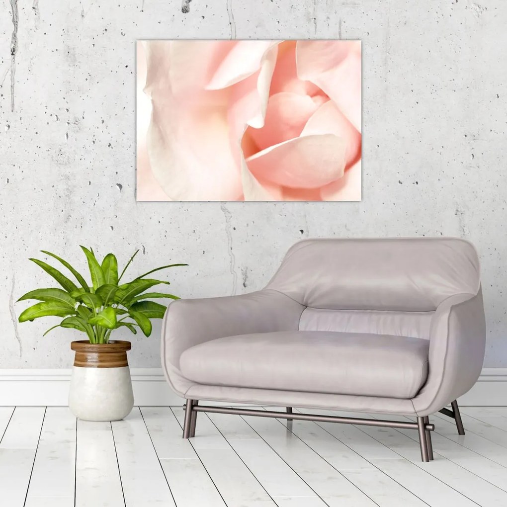 Tablou - Trandafiri (70x50 cm)