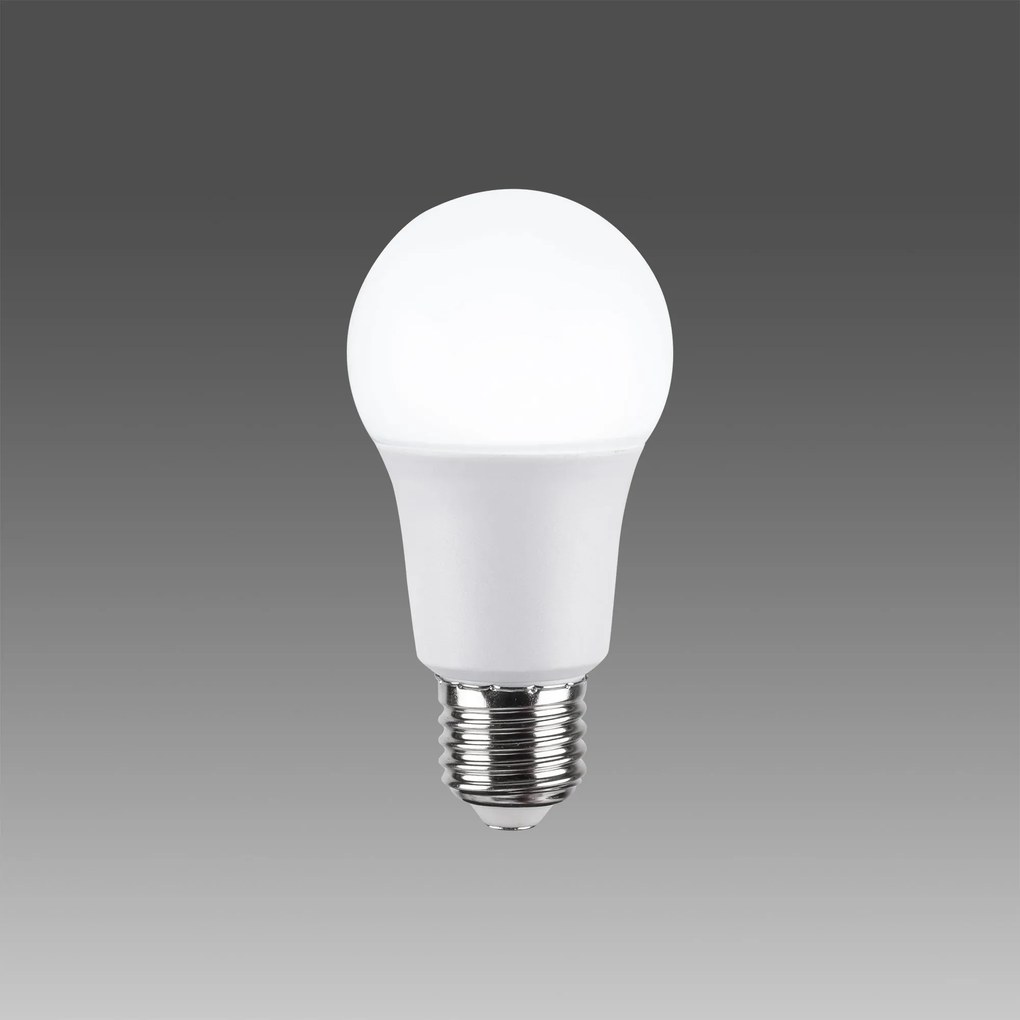 Bec cu Led OP - 009