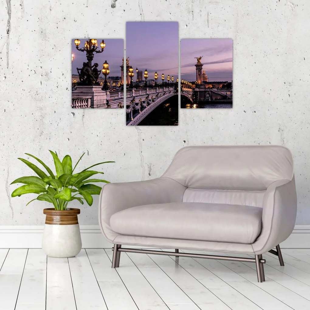 Tablou - Podul lui Alexandru al III.-lea din Paris (90x60 cm)