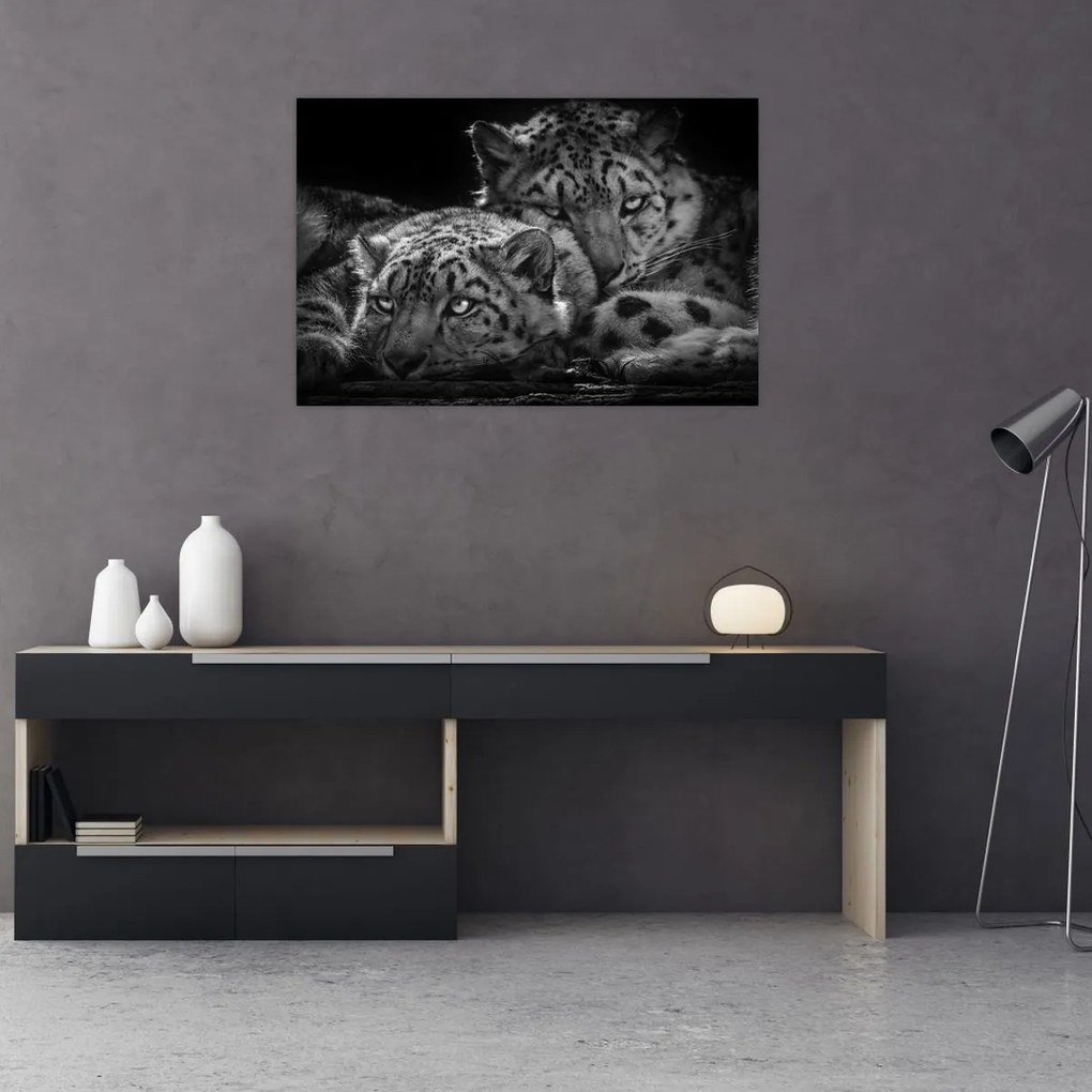 Tablou - Gheparzi care se odihnesc (90x60 cm)