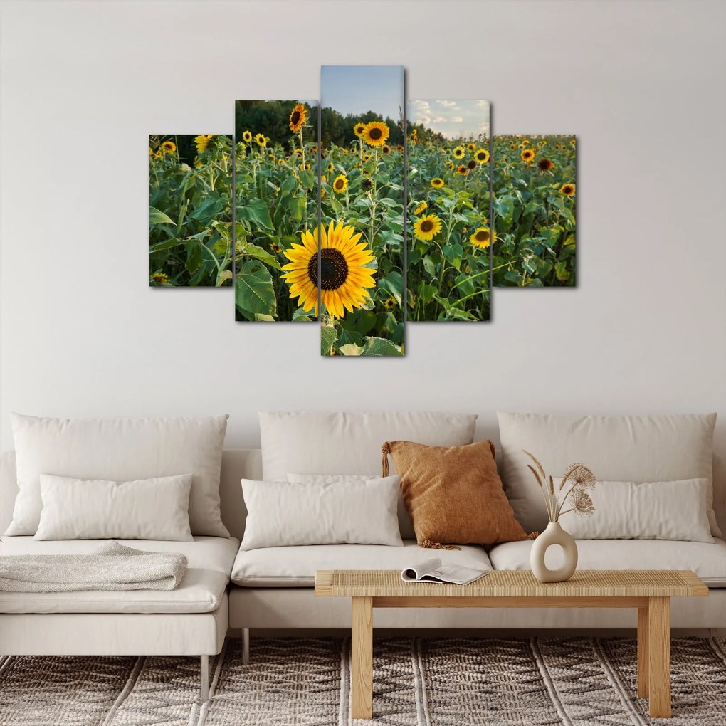 Tablou - Câmpul de floarea-soarelui II. (150x105 cm)