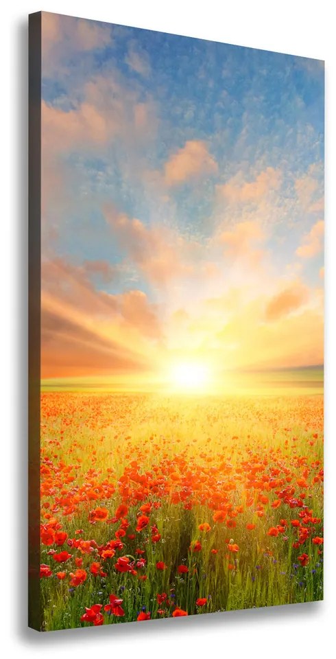 Print pe canvas Câmp de maci