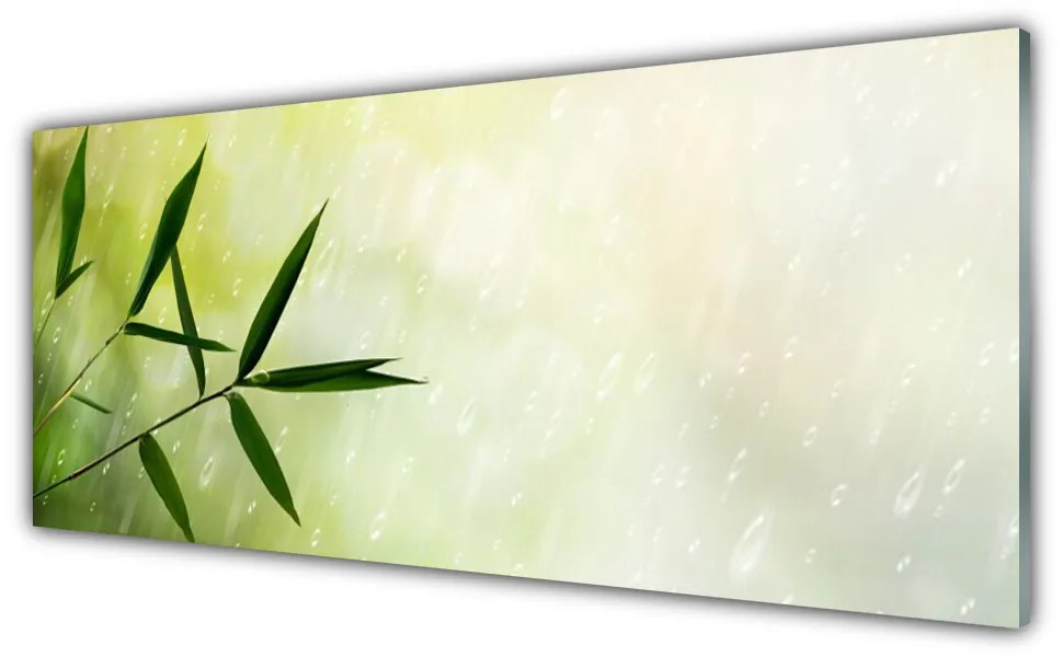 Tablou pe sticla Frunze de ploaie Floral Verde