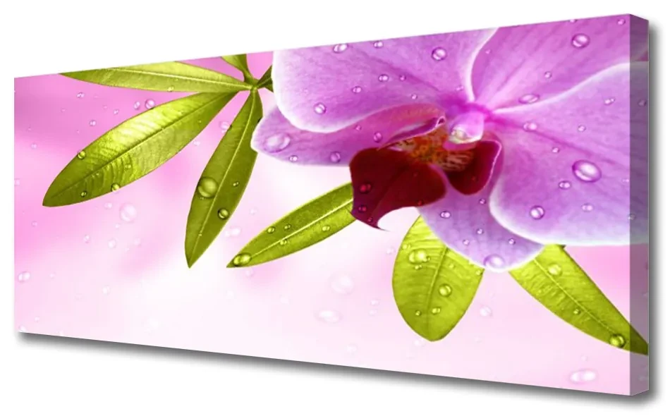 Tablou pe panza canvas Frunze florale flori roz verde | BIANO