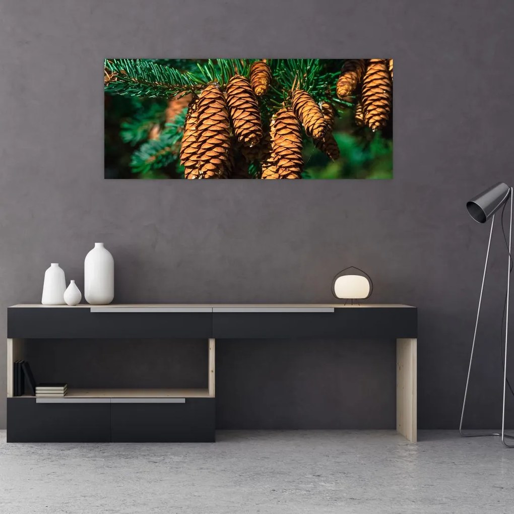 Tablou cu con de brad (120x50 cm)