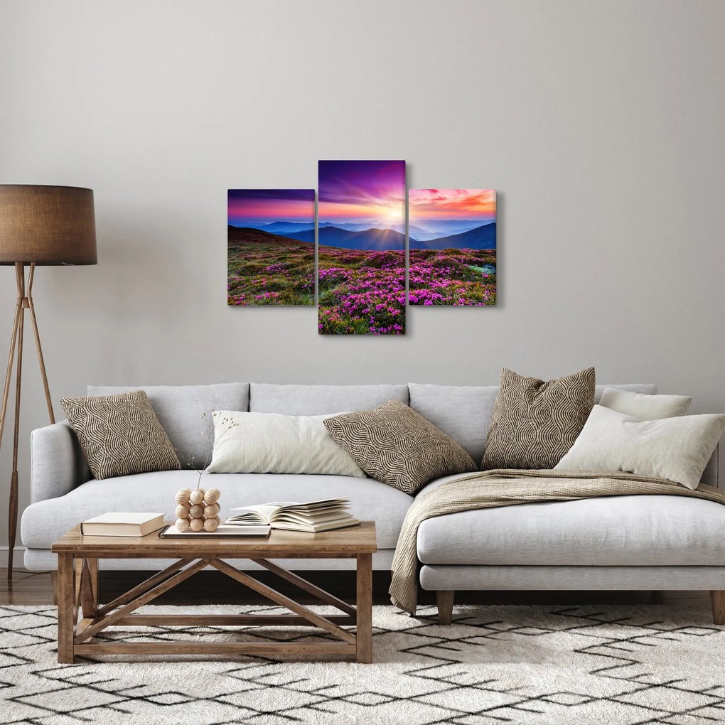 Tablou - Munte înflorit peisaj (90x60 cm)
