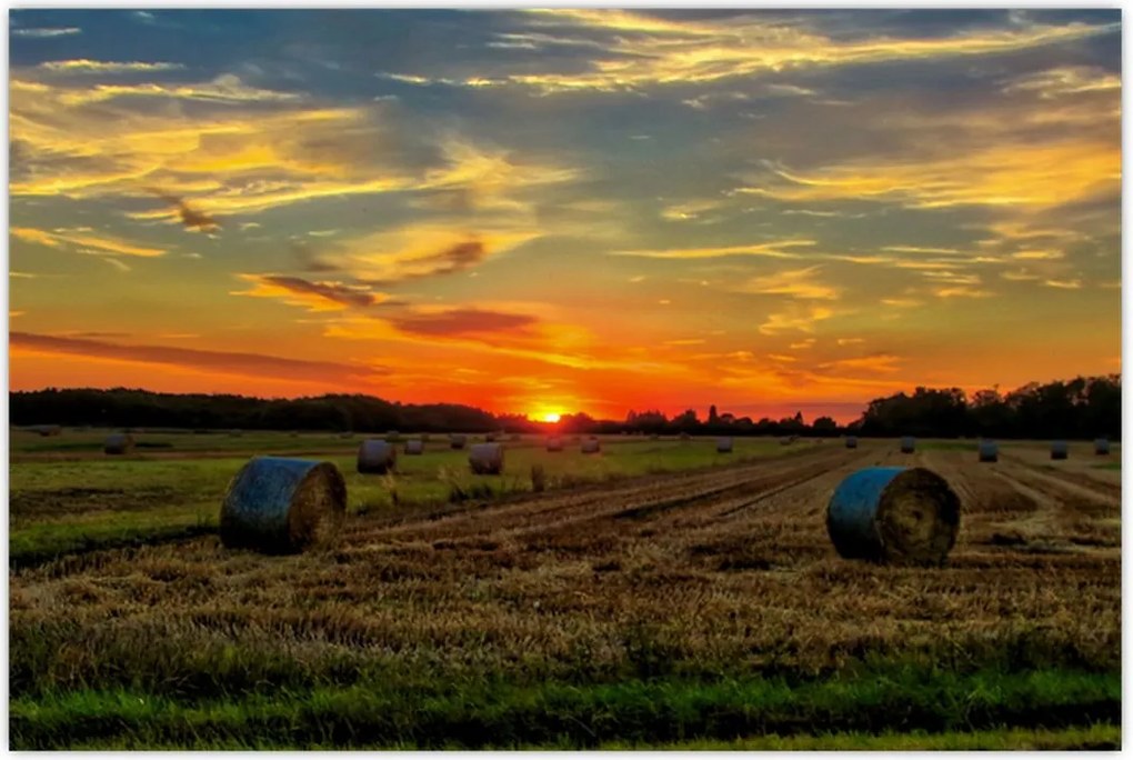 Tablou - Baloți din sat (90x60 cm)