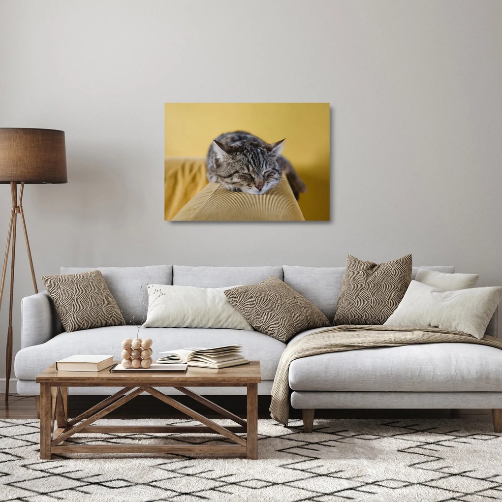 Tablou pe sticlă cu pisica pe fotoliu (70x50 cm)