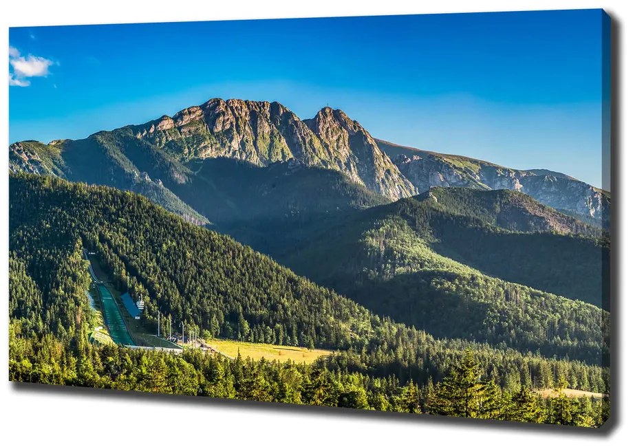 Tablou pe pânză Panorama tatra
