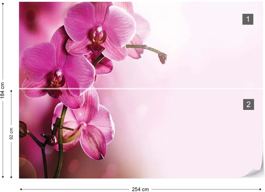 GLIX Fototapet - Pink Orchids Flowers Vliesová tapeta  - 254x184 cm